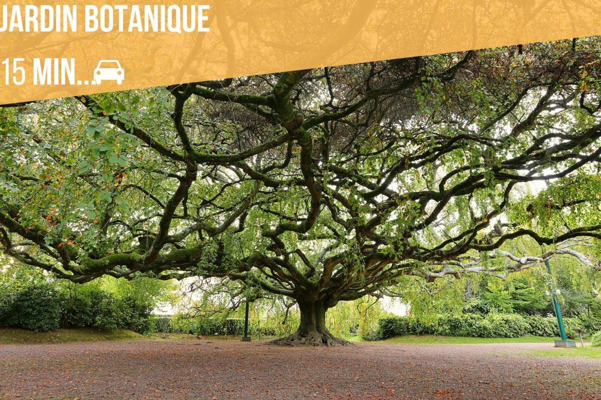 La Fontaine Cottage - Proximite Historique - Bayeux Saint-Loup-Hors ภายนอก รูปภาพ